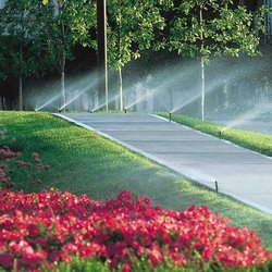 A highly detailed close-up of a multi-head sprinkler system in action, spraying crystalline water into the bright sunlight